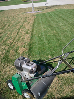 dethatching